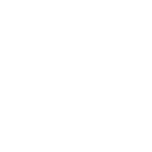 Institute of Neuro Sciences