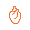 Institute of Heart 